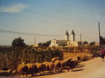 Medjugorje